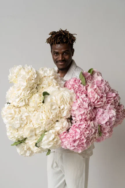 Гортензия МИКС