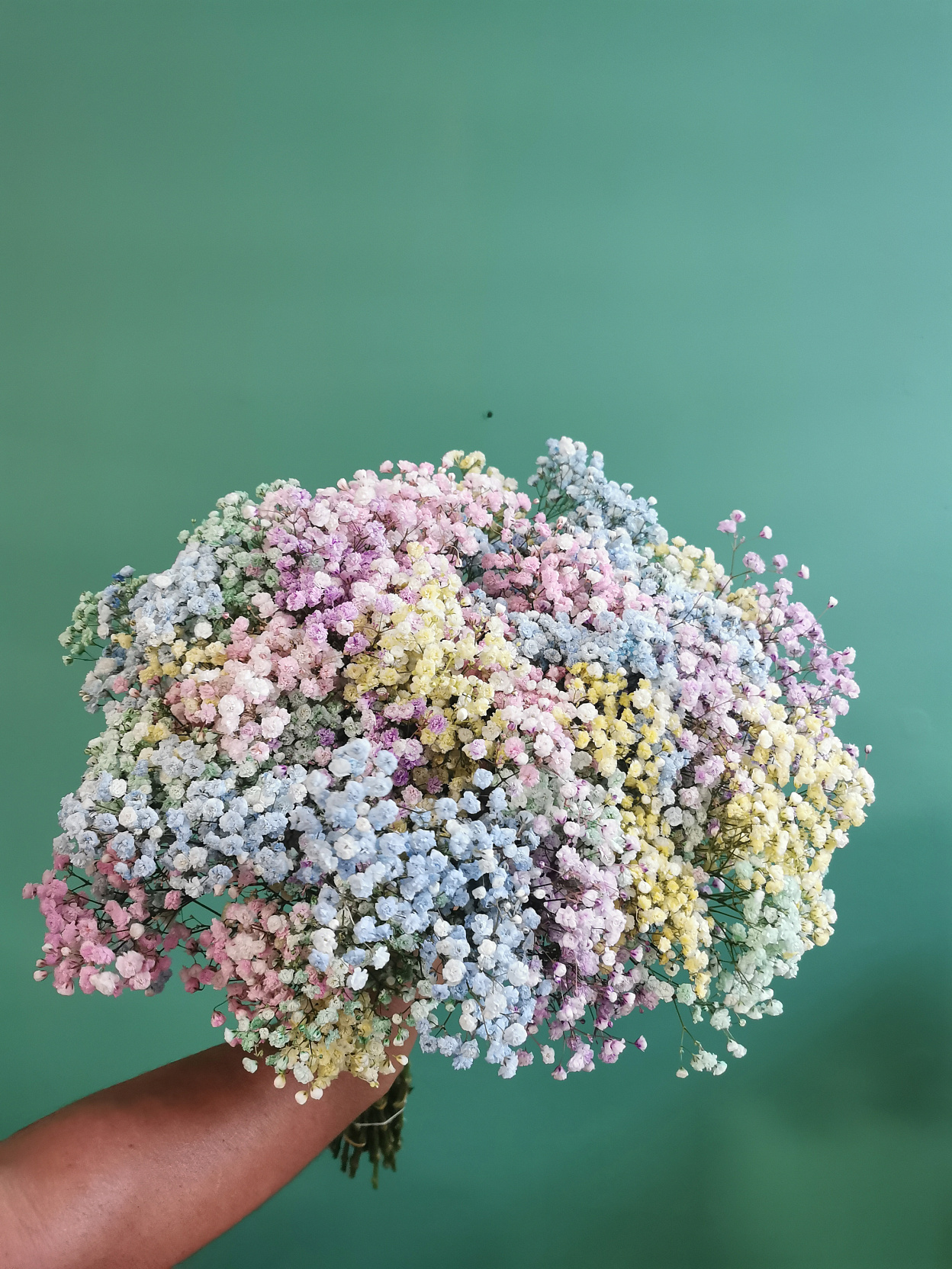 Гипсофила MIX