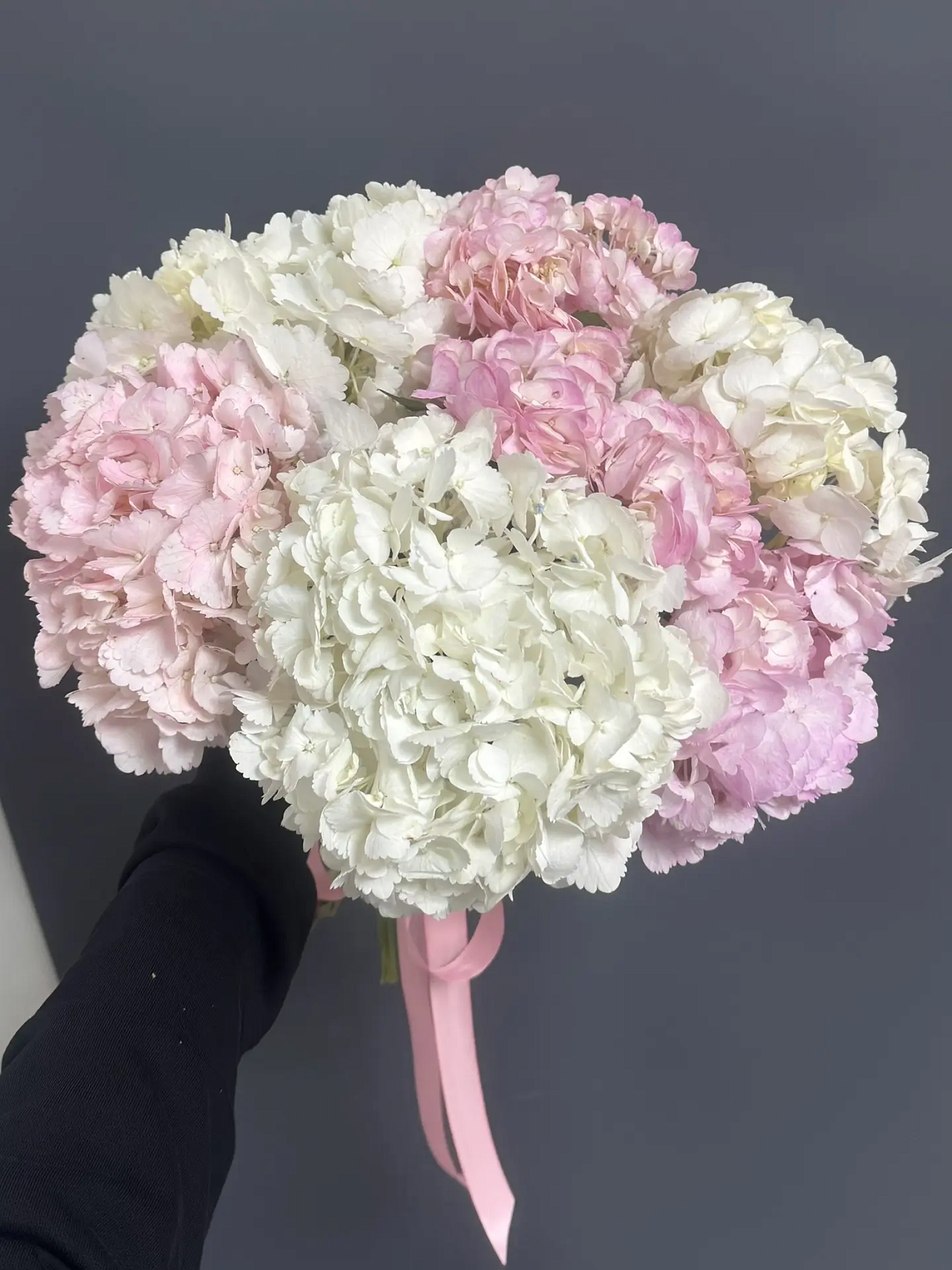 Гортензия МИКС